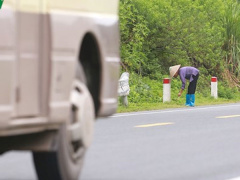 Ảnh bìa bài viết 559918