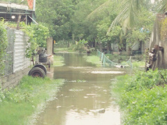 Ảnh bìa bài viết 560042