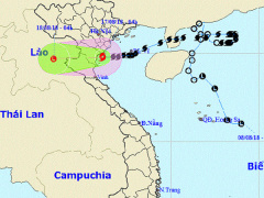 Ảnh bìa bài viết 560118