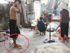 Ảnh bìa bài viết 560056