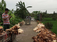 Ảnh bìa bài viết 560270