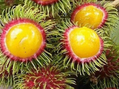 Ảnh bìa bài viết 560584