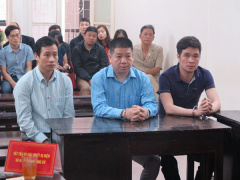 Ảnh bìa bài viết 560542
