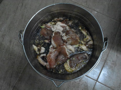 Ảnh bìa bài viết 561018