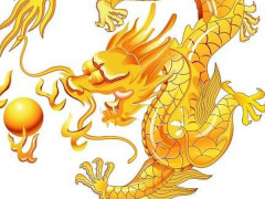 Ảnh bìa bài viết 561216