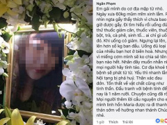 Ảnh bìa bài viết 561142
