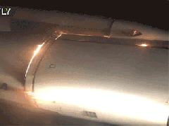 Ảnh bìa bài viết 561245