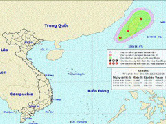 Ảnh bìa bài viết 561176