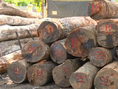 Ảnh bìa bài viết 561636