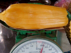 Ảnh bìa bài viết 561616