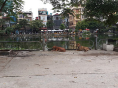 Ảnh bìa bài viết 561638