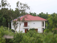 Ảnh bìa bài viết 561850