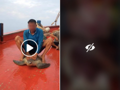 Ảnh bìa bài viết 561871