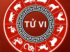 Ảnh bìa bài viết 561895