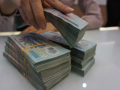 Ảnh bìa bài viết 562483