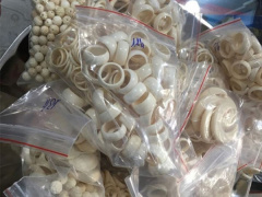 Ảnh bìa bài viết 562940