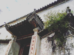 Ảnh bìa bài viết 562932