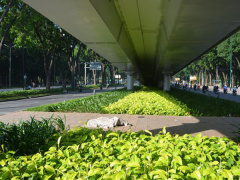 Ảnh bìa bài viết 563431
