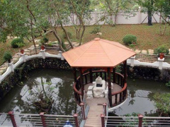 Ảnh bìa bài viết 563515