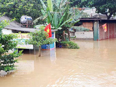 Ảnh bìa bài viết 563597