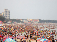 Ảnh bìa bài viết 563828