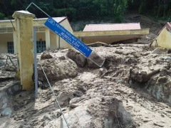 Ảnh bìa bài viết 563882