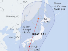 Ảnh bìa bài viết 563924