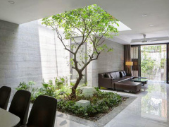 Ảnh bìa bài viết 564085