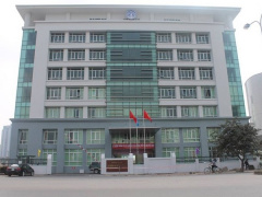 Ảnh bìa bài viết 564185