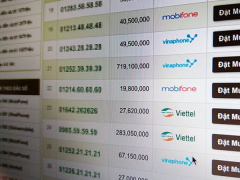 Ảnh bìa bài viết 564142