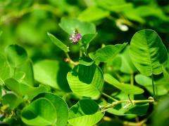 Ảnh bìa bài viết 564321