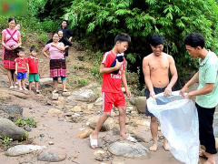 Ảnh bìa bài viết 564463