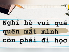 Ảnh bìa bài viết 564333