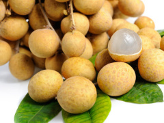 Ảnh bìa bài viết 564689