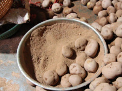 Ảnh bìa bài viết 564693