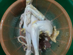 Ảnh bìa bài viết 564775