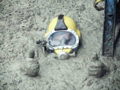 Ảnh bìa bài viết 564823