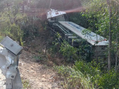 Ảnh bìa bài viết 565151