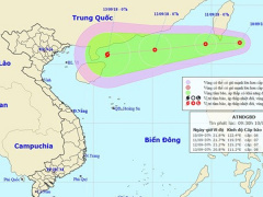 Ảnh bìa bài viết 565461