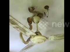 Ảnh bìa bài viết 565568