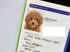 Ảnh bìa bài viết 565845