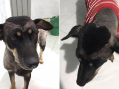 Ảnh bìa bài viết 565713