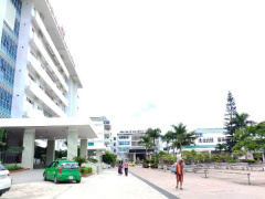 Ảnh bìa bài viết 565840