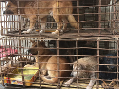 Ảnh bìa bài viết 565871