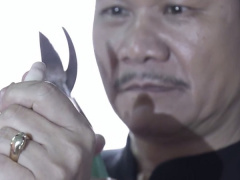 Ảnh bìa bài viết 565681