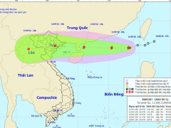 Ảnh bìa bài viết 565800