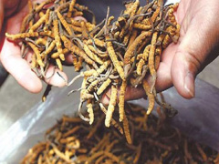 Ảnh bìa bài viết 565626