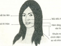 Ảnh bìa bài viết 565958