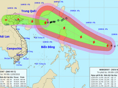Ảnh bìa bài viết 566040