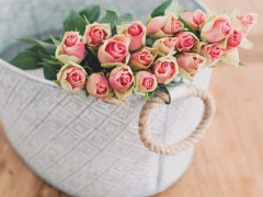 Ảnh bìa bài viết 565908
